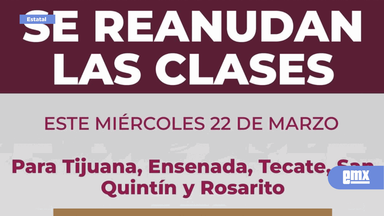 Reanudan Las Clases En Todos Los Niveles Educativos El Mexicano