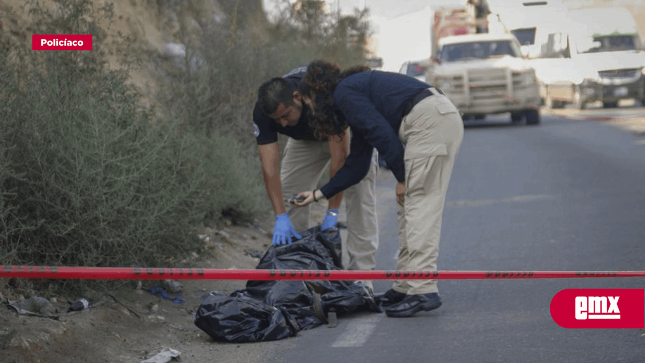 Arrojan Bolsas Negras Con Restos Humanos En La Carretera El Mexicano