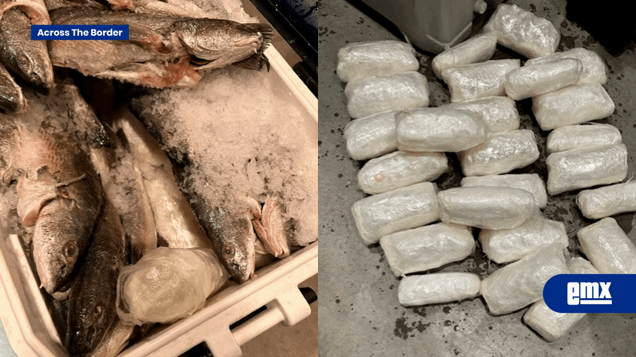 EMX-Agentes de CBP decomisan metanfetamina en una hielera llena de pescado