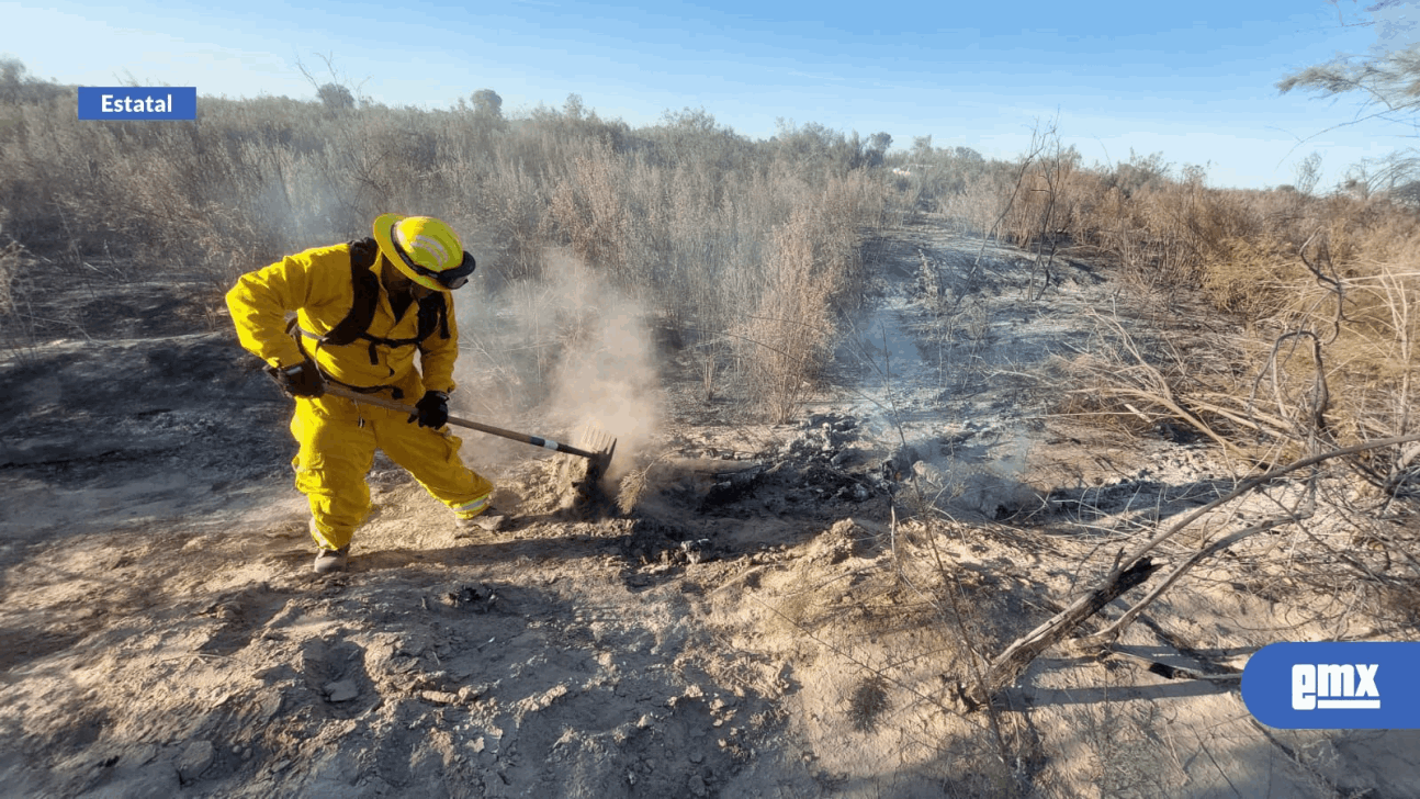 EMX-Atienden autoridades incendio forestal en Valle de Mexicali