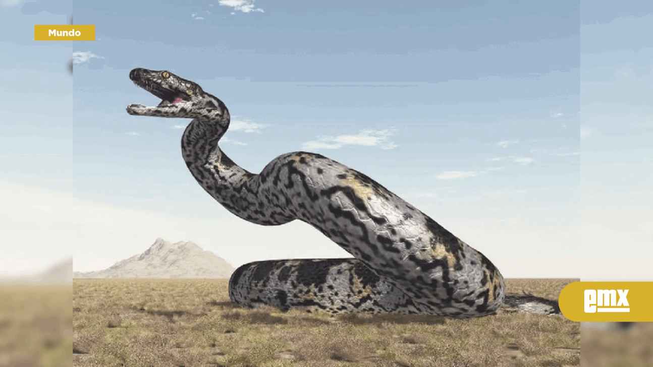 EMX-Descubren-serpiente-gigante-de-la-India;-es-de-las-más-grandes-registradas