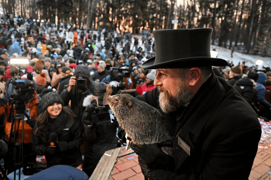 Esta marmota es famosa en el mundo por predecir el clim... El Mexicano