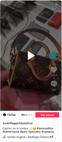Louis Vuitton vende bolsa para heces de perro; así luce - Grupo Milenio