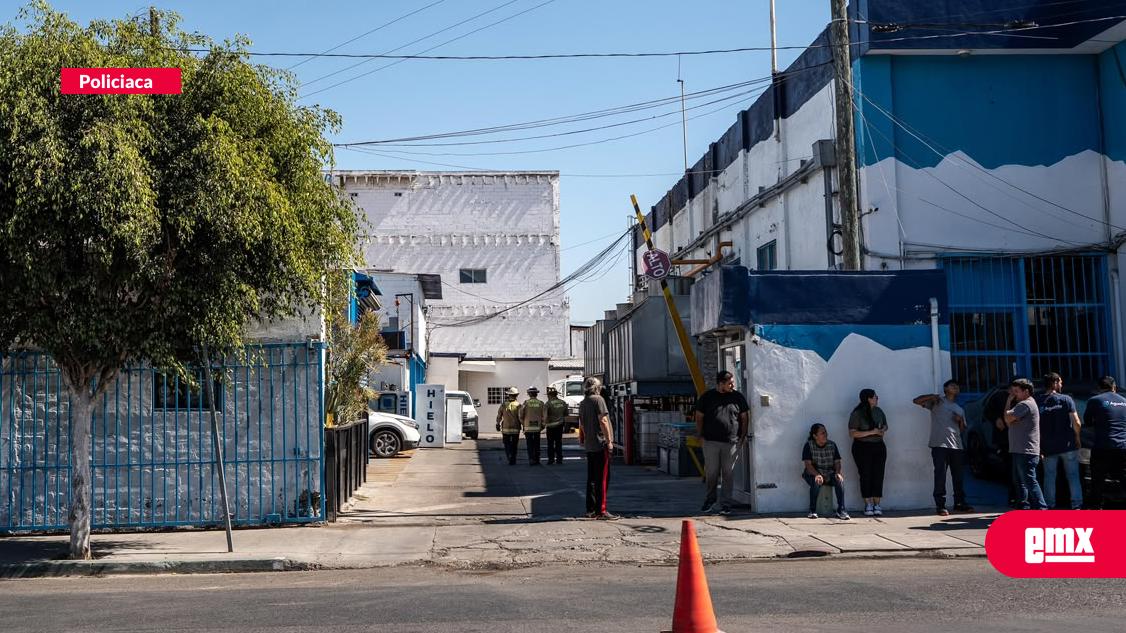 EMX-Fuga de amoniaco provoca evacuación preventiva en hielera de Tijuana