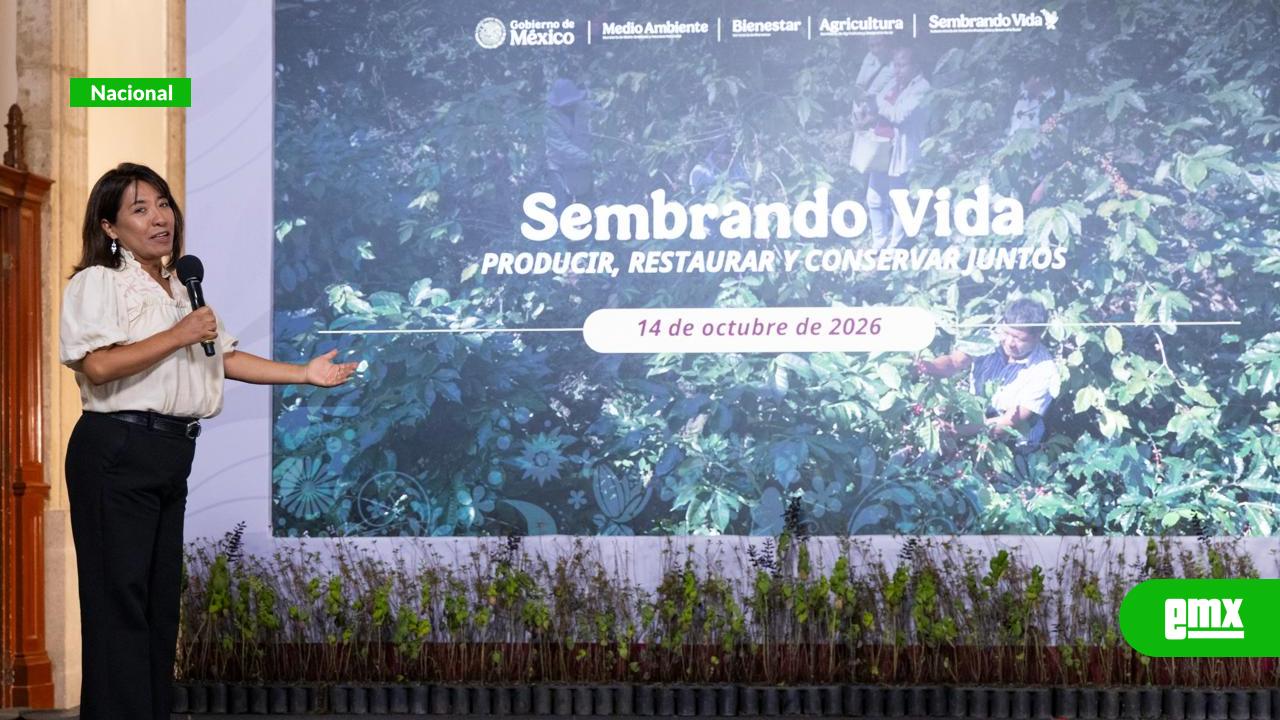 EMX-Sembrando-Vida-suma-414-mil-beneficiarios-y-continuará-hasta-2030