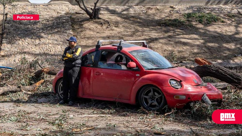 EMX-“Lo-material-se-vuelve-a-reponer,-pero-la-vida-no”:-conductor-agradece-salir-ileso-tras-caída-de-árbol-en-la-Vía-Rápida