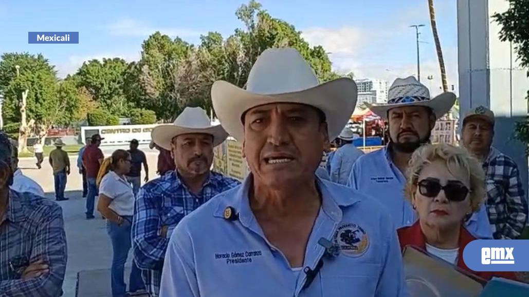 EMX-Trigueros demandan mayor apoyo en cosecha al trigo a diputados 
