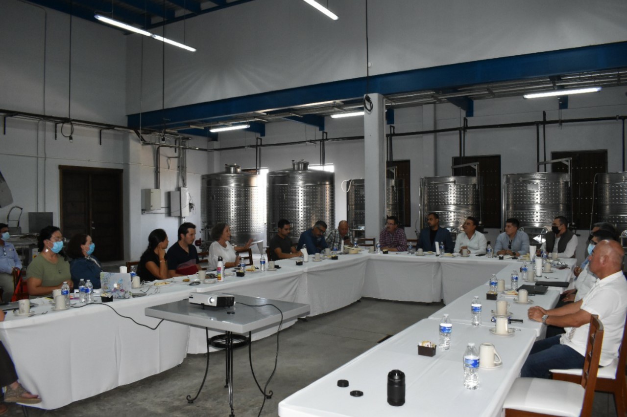 Atenderán peticiones de vitivinicultores del Valle - Vimarsana News