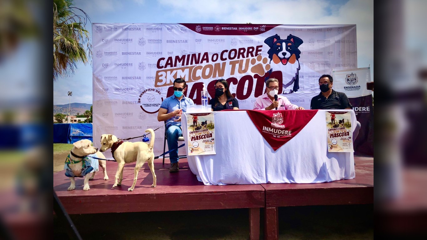 EMX-Invitan a paseo “camina o corre tres kilómetros con tu mascota”