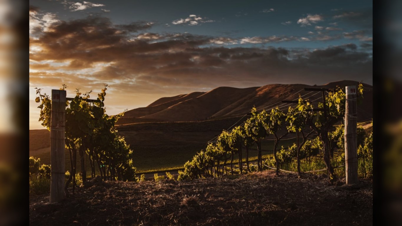 EMX-4 viñedos que no te puedes perder al visitar Valle de Guadalupe