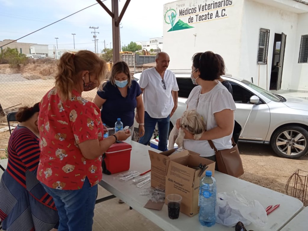 Jornada de vacunación exitosa en Tecate - Vimarsana News