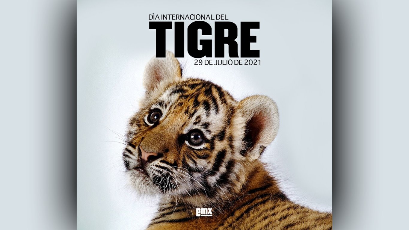EMX-Día Internacional del Tigre- 29 de julio de 2021