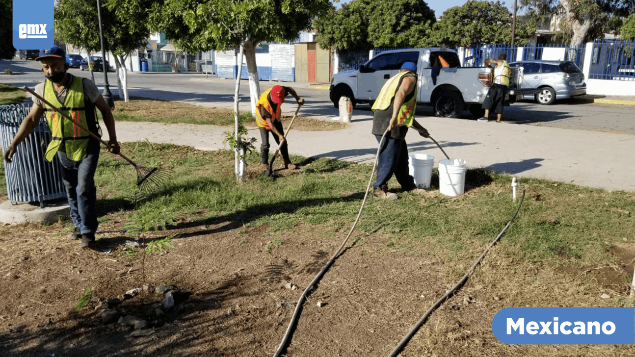 EMX-Limpian Parque Josefa Ortiz de Domínguez en Ensenada
