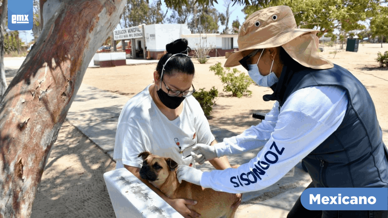 EMX-Conmemoran en BC el Día del Médico Zootecnista