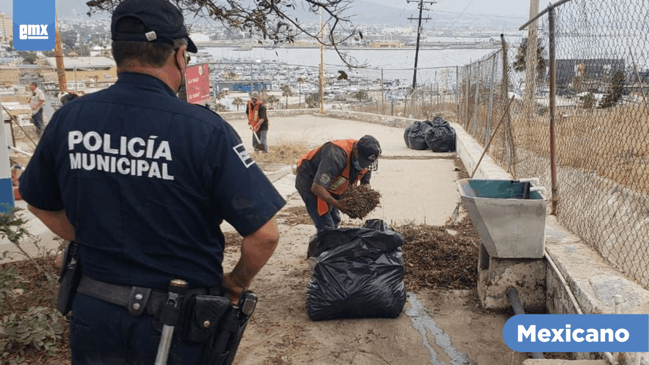 EMX-Retiran 400 kilos de basura en jardín de niños en Ensenada