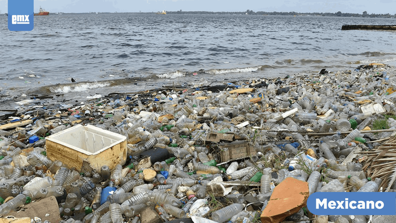 EMX-Ecuador clama por un pacto mundial para luchar contra la contaminación marina