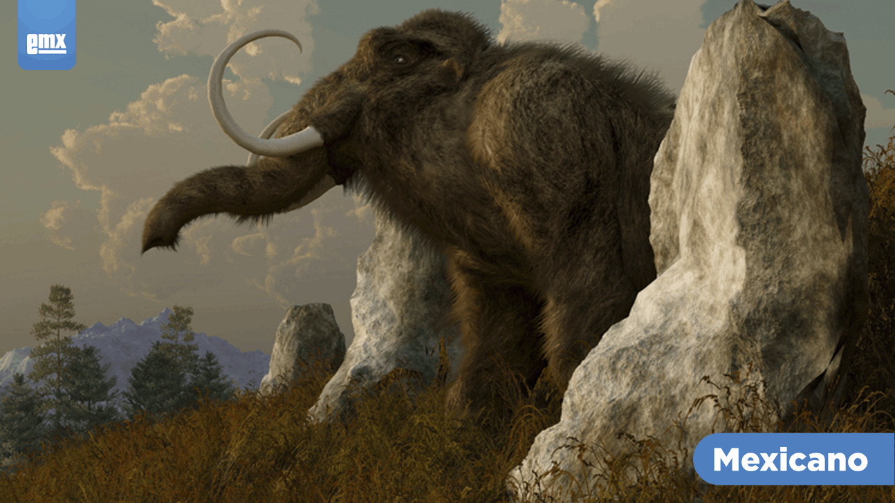 EMX-¿Qué puede pasar si científicos reviven al mamut lanudo?