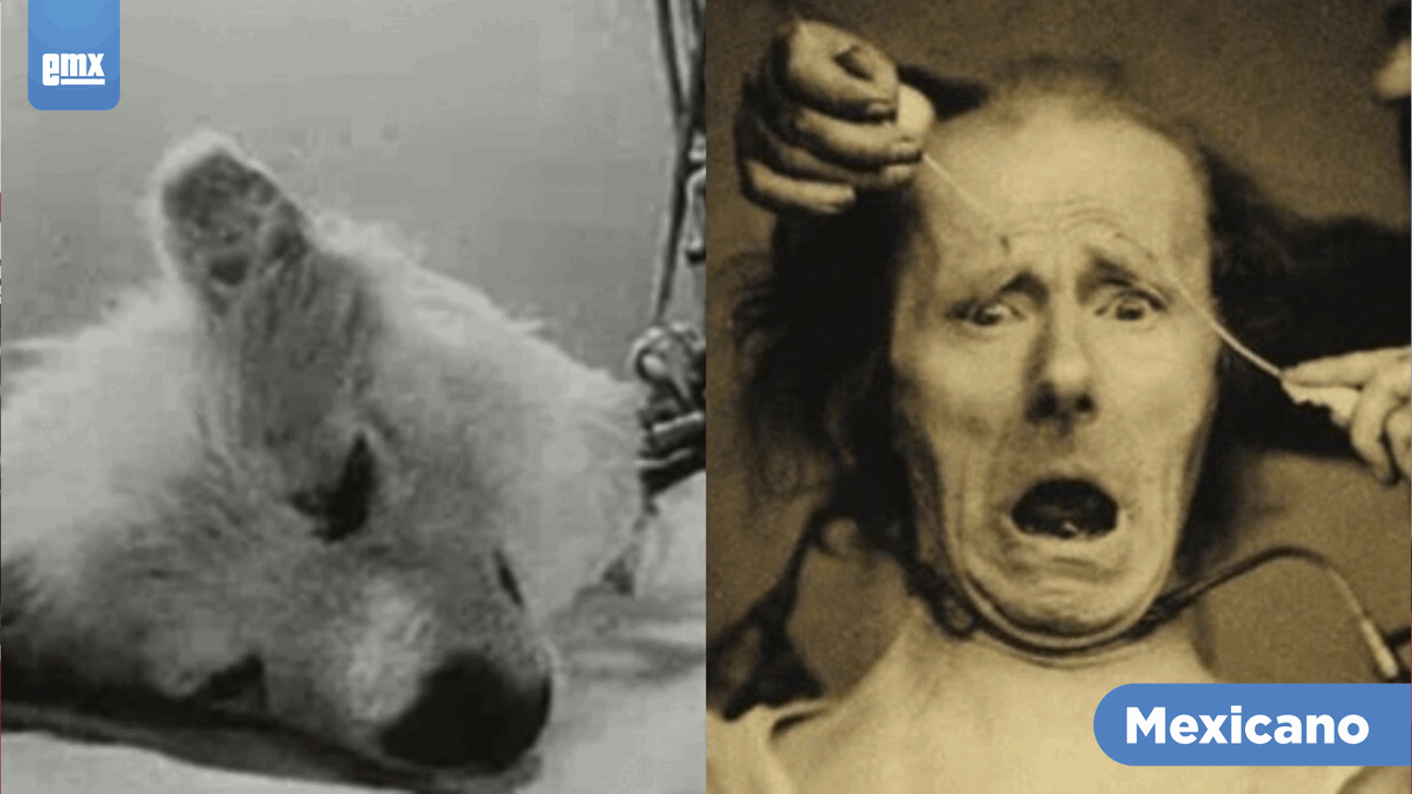 EMX-Conoce los cinco experimentos más horripilantes e increíbles de la historia