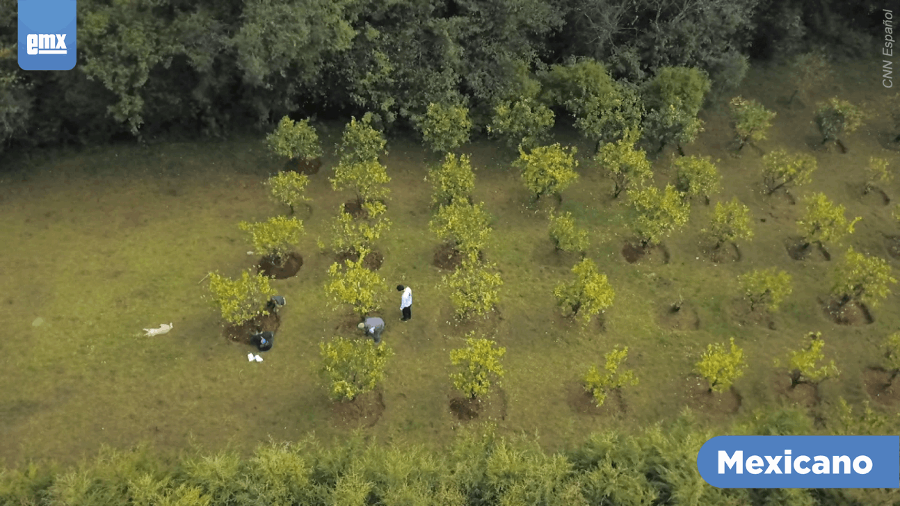 EMX-Agua sólida, innovadora apuesta en México para combatir las sequías