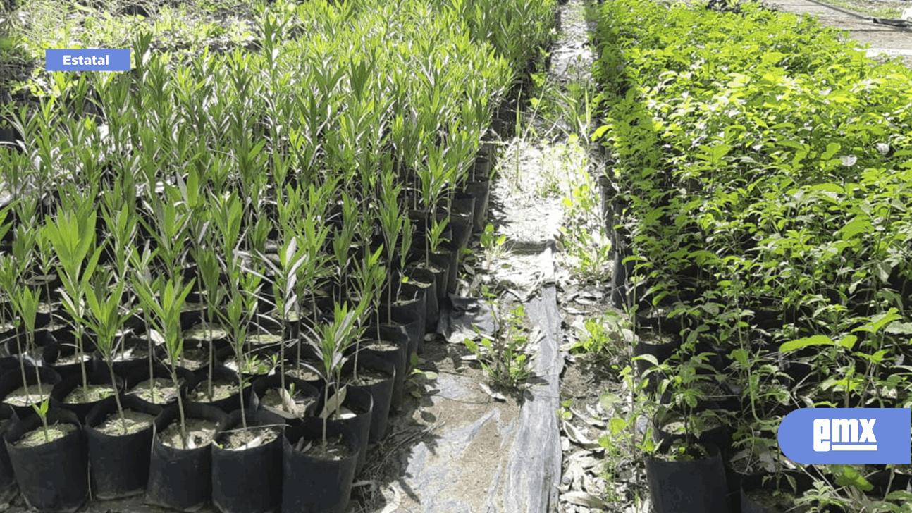 EMX-Se realiza la Primer Expo Verde en Mexicali