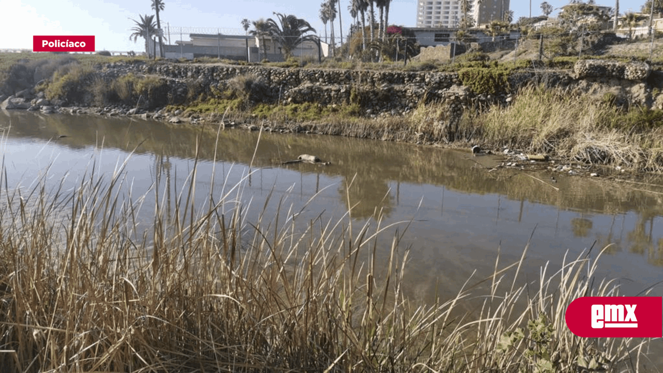 EMX-Localizan cadáver flotando sobre arroyo Huacatay, en Playas de Rosarito