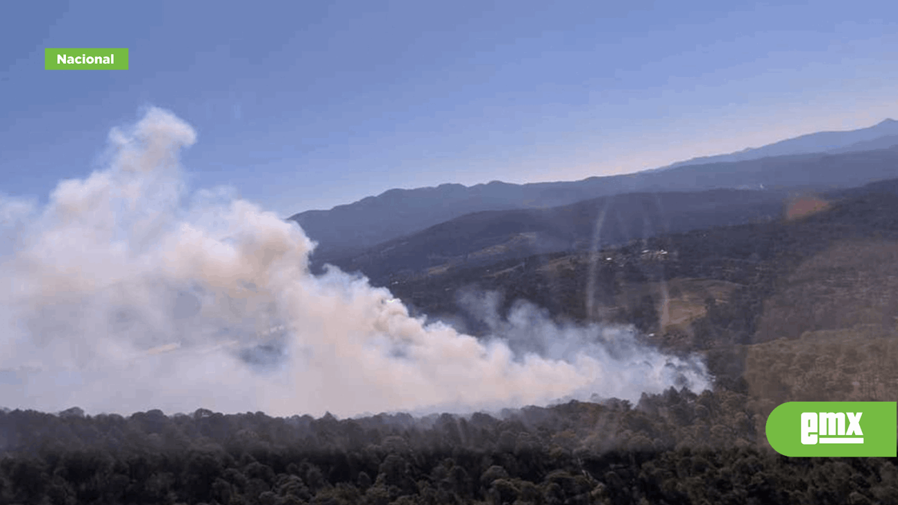 EMX-Incendio consume casi 400 hectáreas de bosque en Mazamitla
