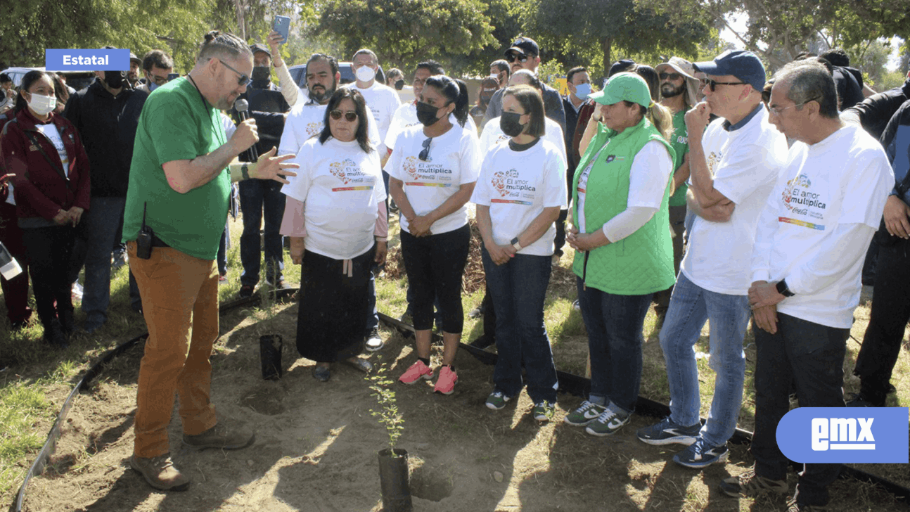 EMX-Nación Verde une esfuerzos con la iniciativa privada y gobierno para establecer jardines polinizadores con flora nativa 