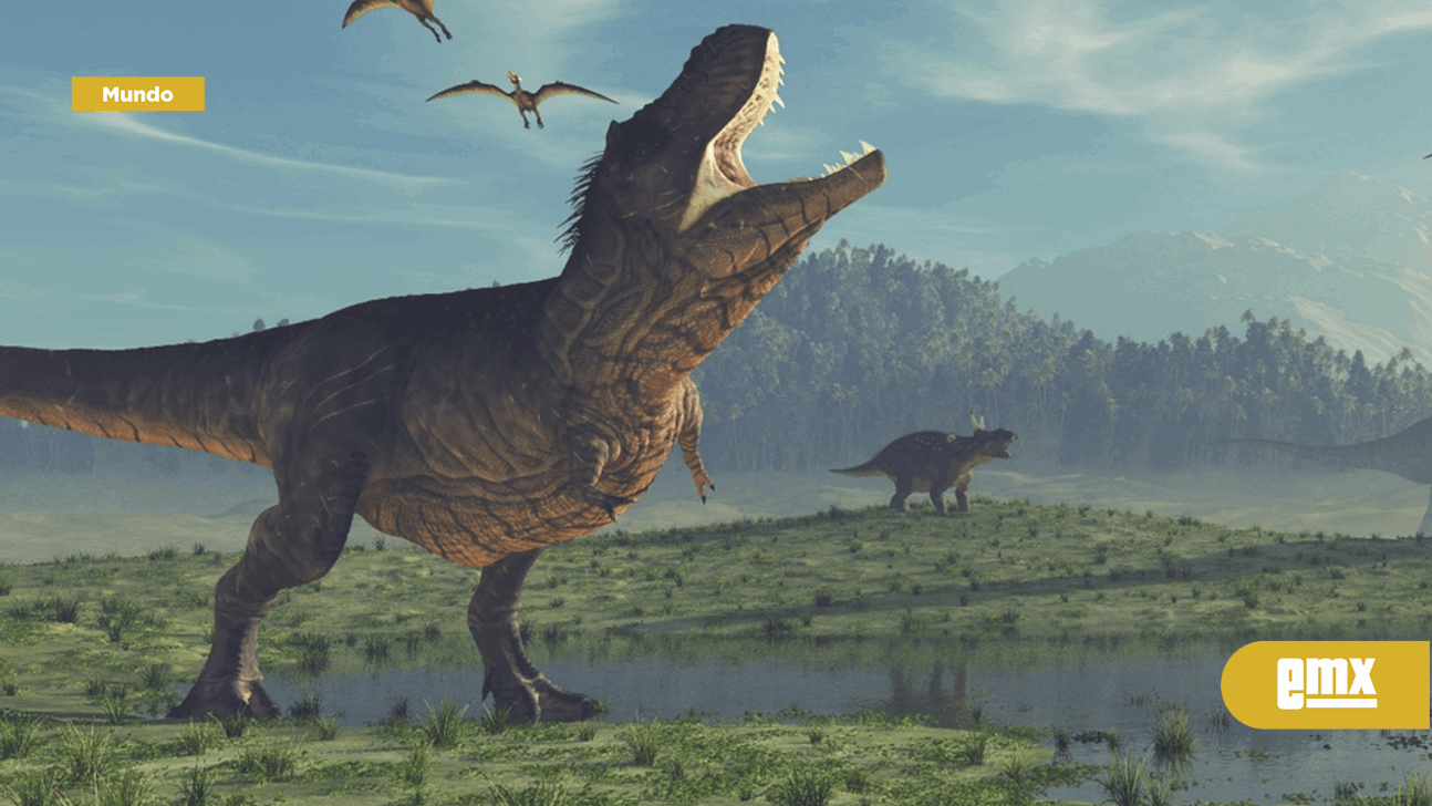 EMX-Hallan en los Alpes suizos el diente más grande de dinosaurio marino en el mundo