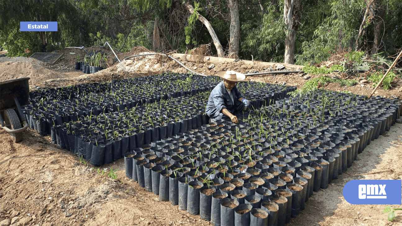 EMX-Cumple 32 años vivero Punta Bandera de CESPT
