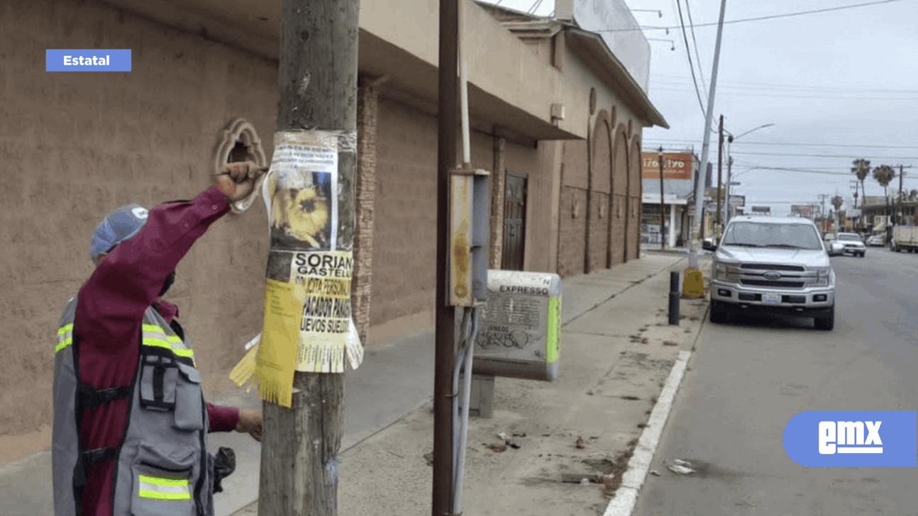 EMX-Exhorta Gobierno a no colocar publicidad en postes