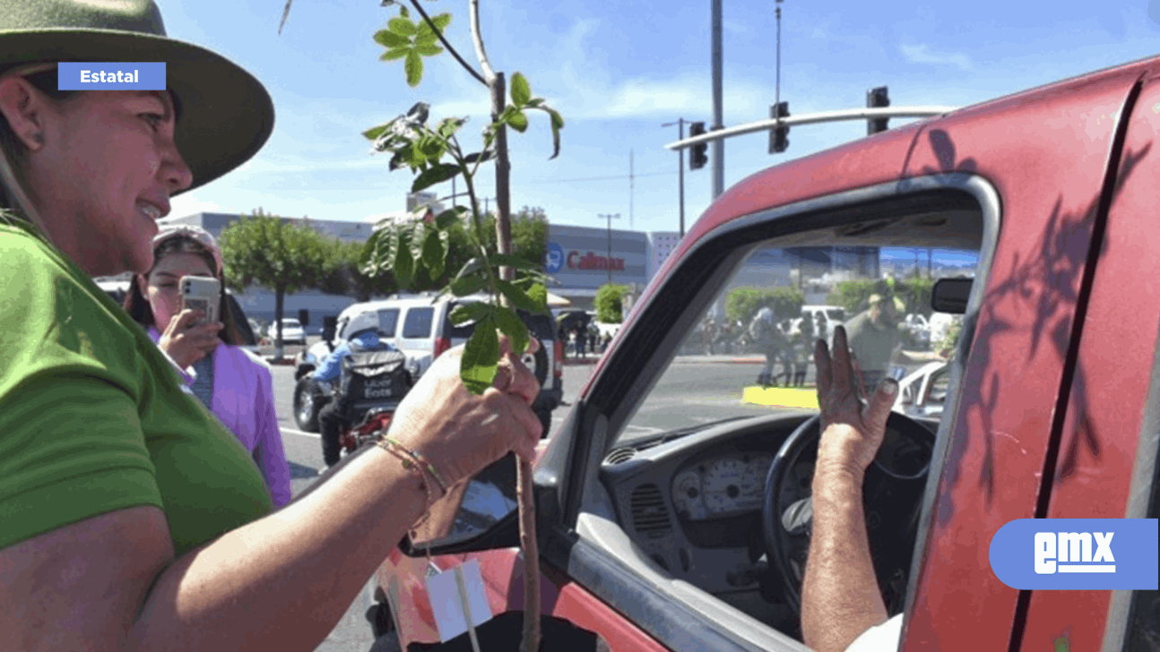 EMX-Marisol Hernández, encabezó la entrega de cientos de árboles para ser plantados
