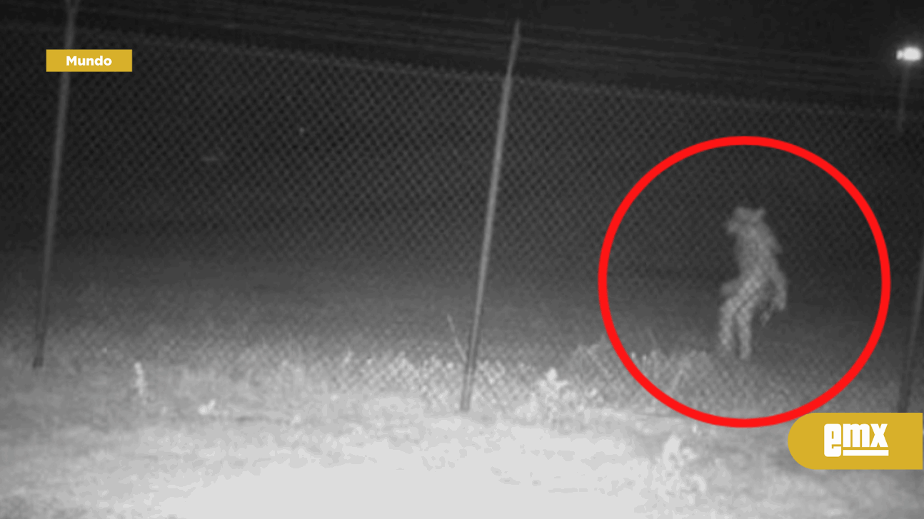 EMX-Captan misterioso ser en zoológico texano