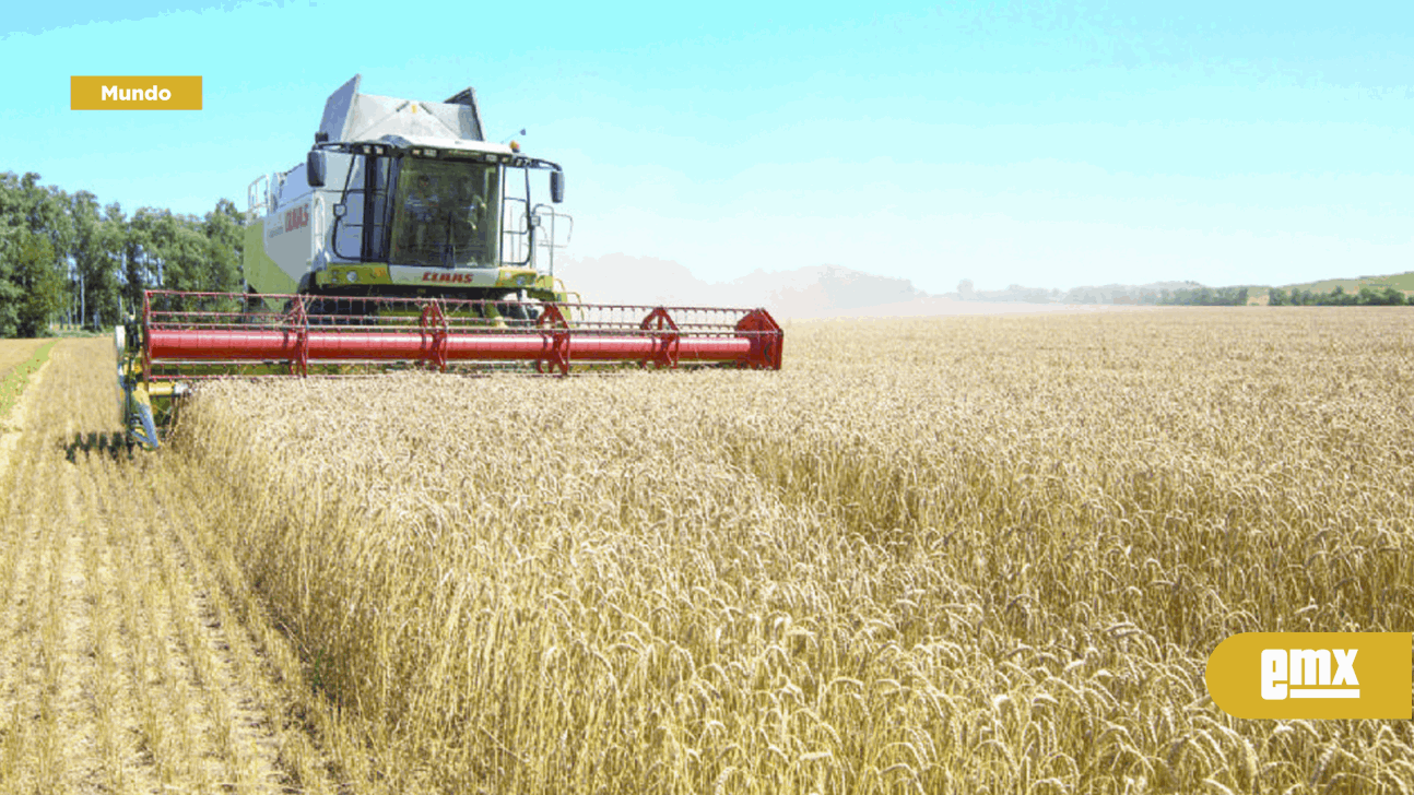 EMX-Estados Unidos niega responsabilidad en crisis global de alimentos