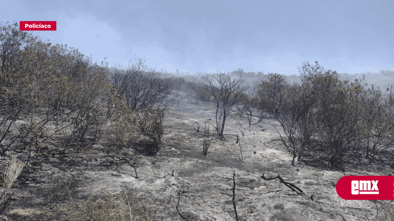 EMX-Llama Bomberos de Ensenada a prevenir incendios forestales