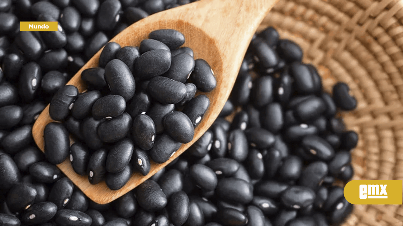 EMX-Estudio de Harvard explica los beneficios de las legumbres