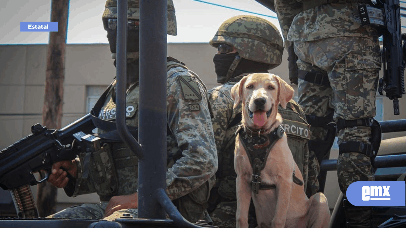 EMX-El perro militar