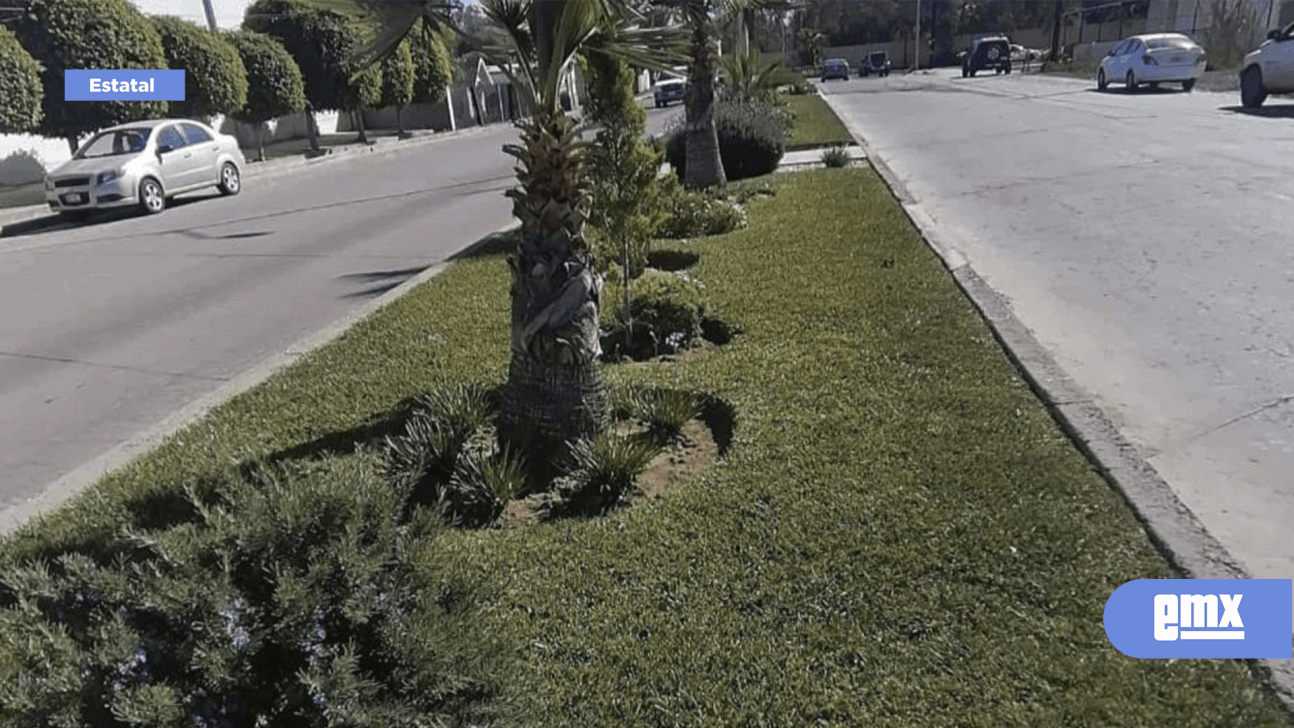 EMX-Tiene Ensenada 70 espacios verdes apadrinados por la comunidad