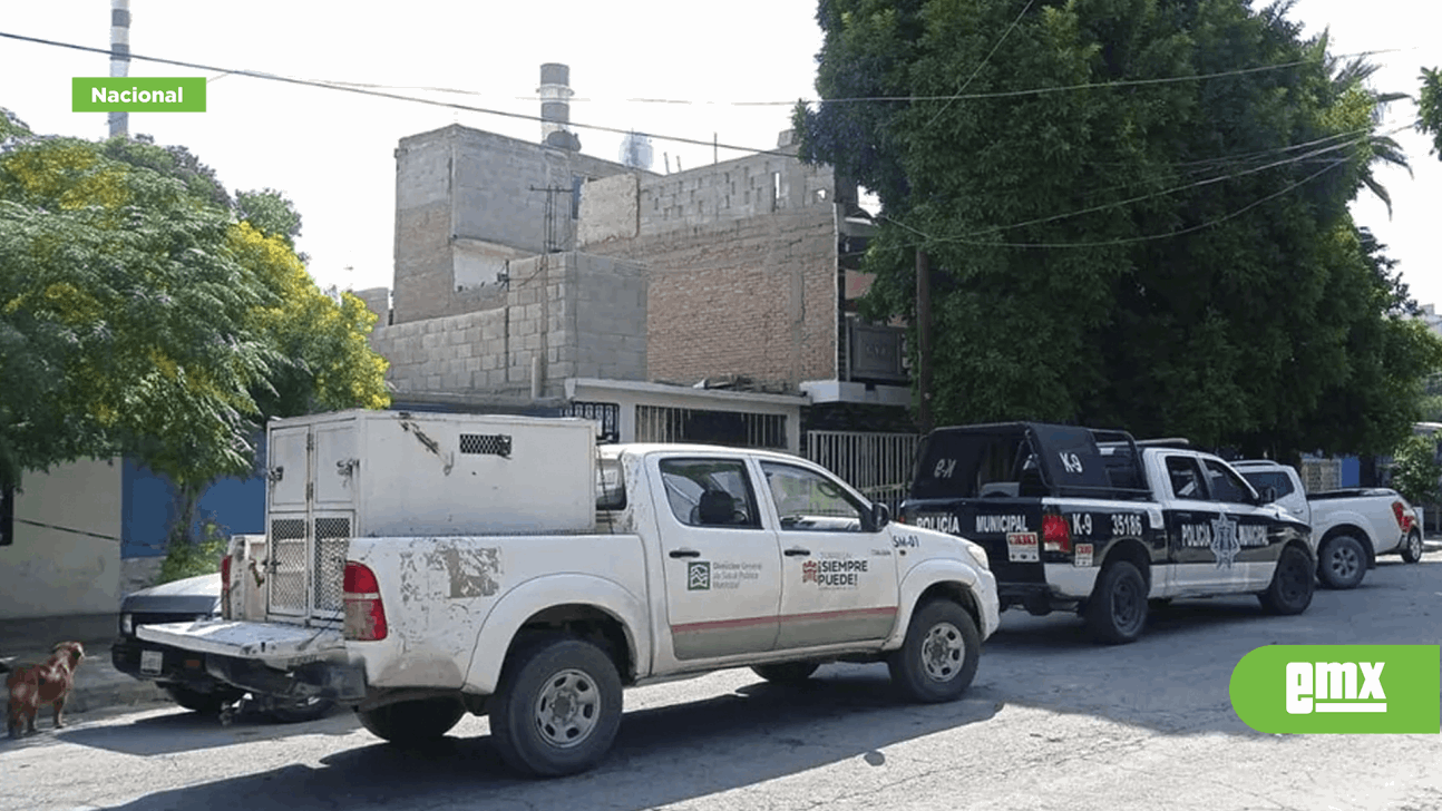 EMX-Hombre muere solo en su casa en Torreón; perros se lo comen