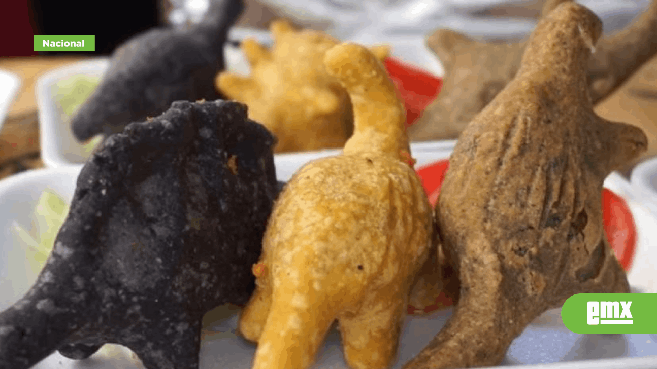 EMX-Crean Dinoquesadillas en Coahuila