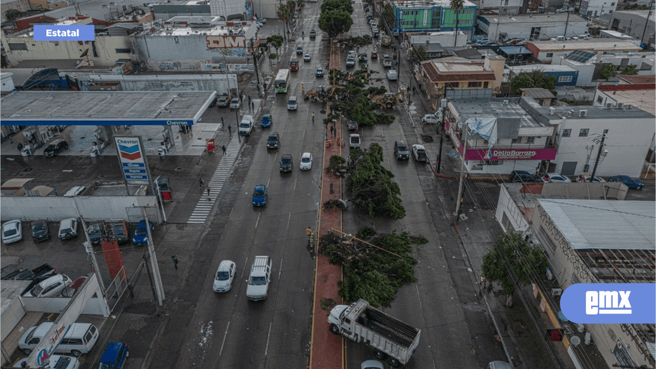 EMX-Tromba tumba árboles en bulevar Díaz Ordaz y vía rápida; autos quedan atrapados 