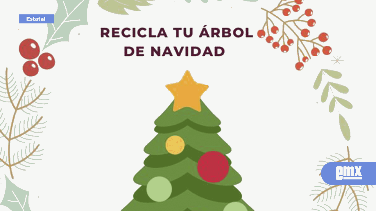 Invita SMADS a reciclar árboles de navidad - El Mexicano - Gran Diario  Regional