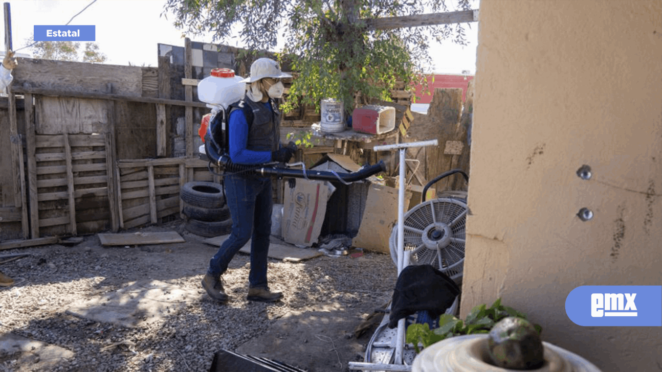EMX-Realizan primera jornada masiva de 2023 contra la rickettsia en Mexicali