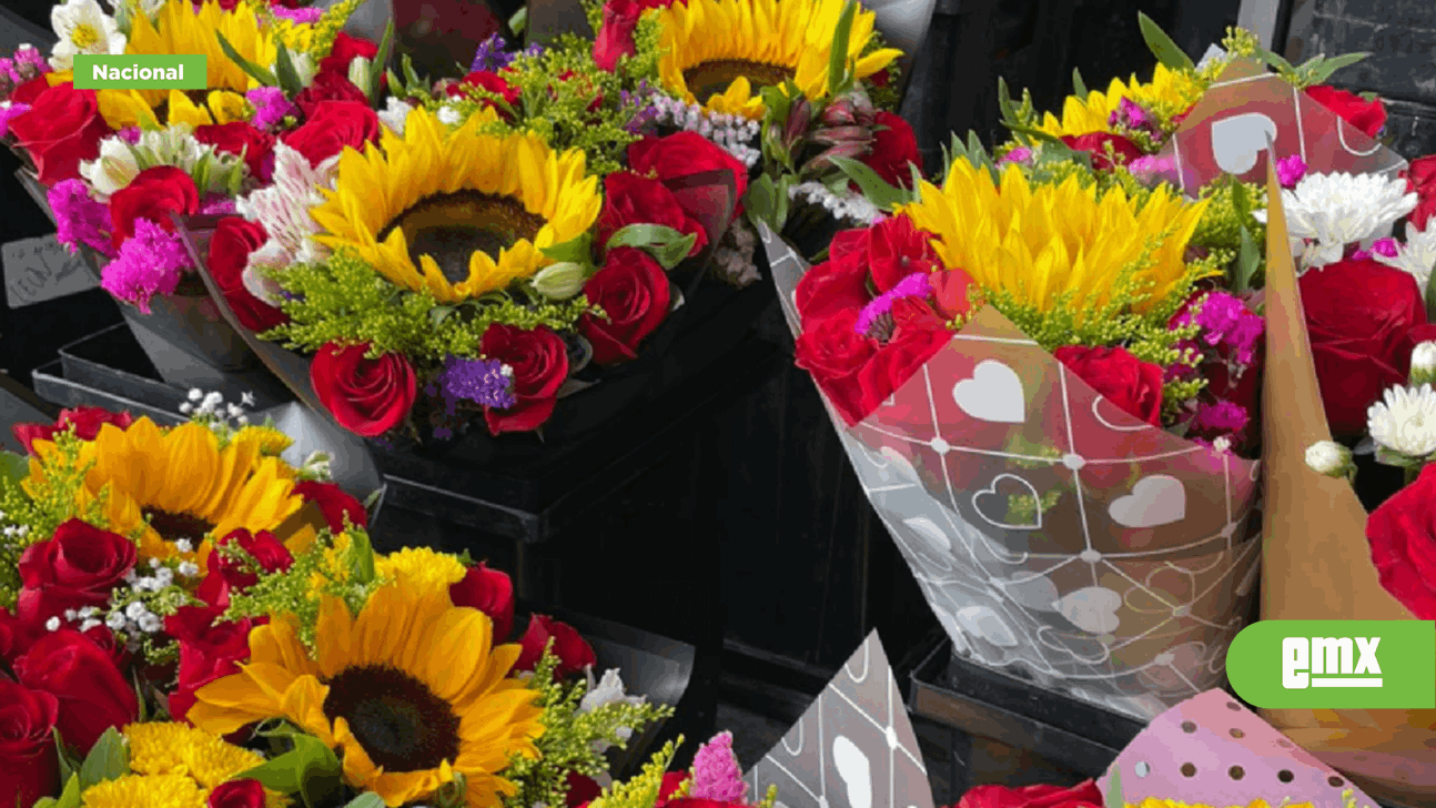 Regalarás girasoles este San Valentín? Esto significan - El Mexicano - Gran  Diario Regional