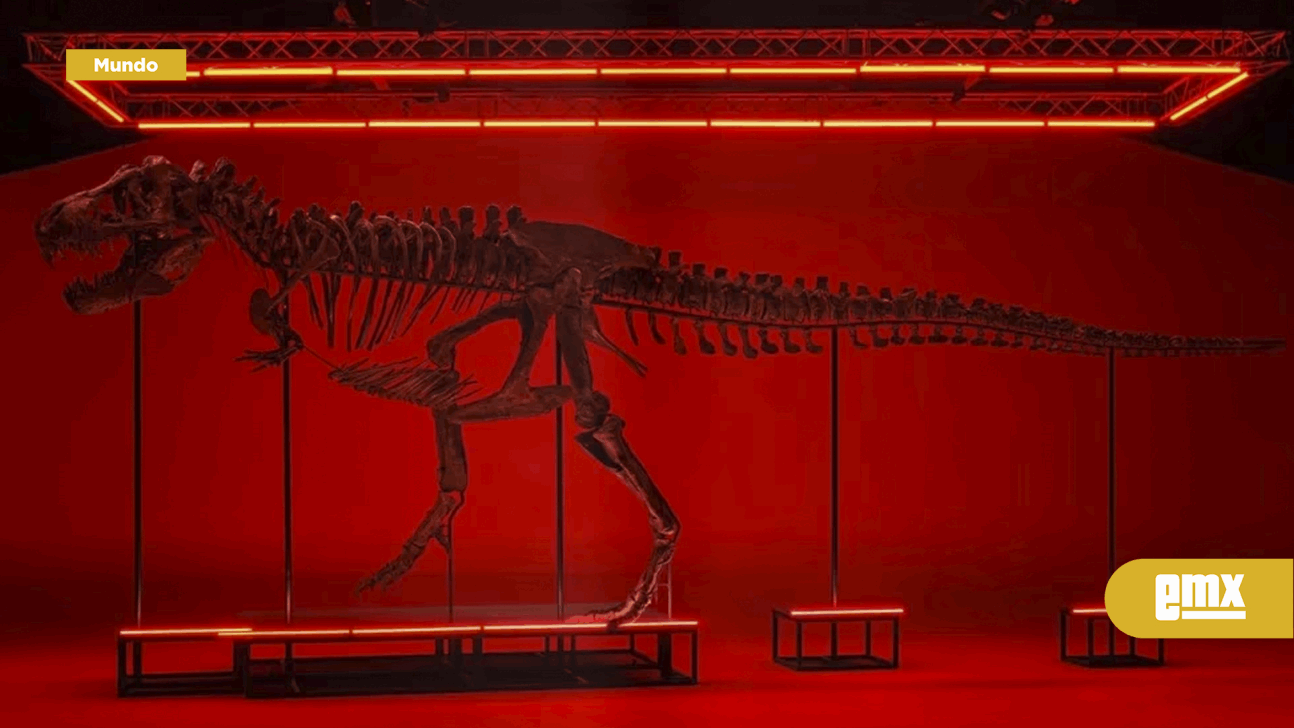 EMX-Trinity, el tiranosaurio rex que será subastado en Suiza