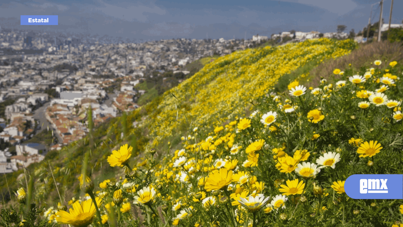 EMX-Hoy se despide el Invierno, llega la Primavera 