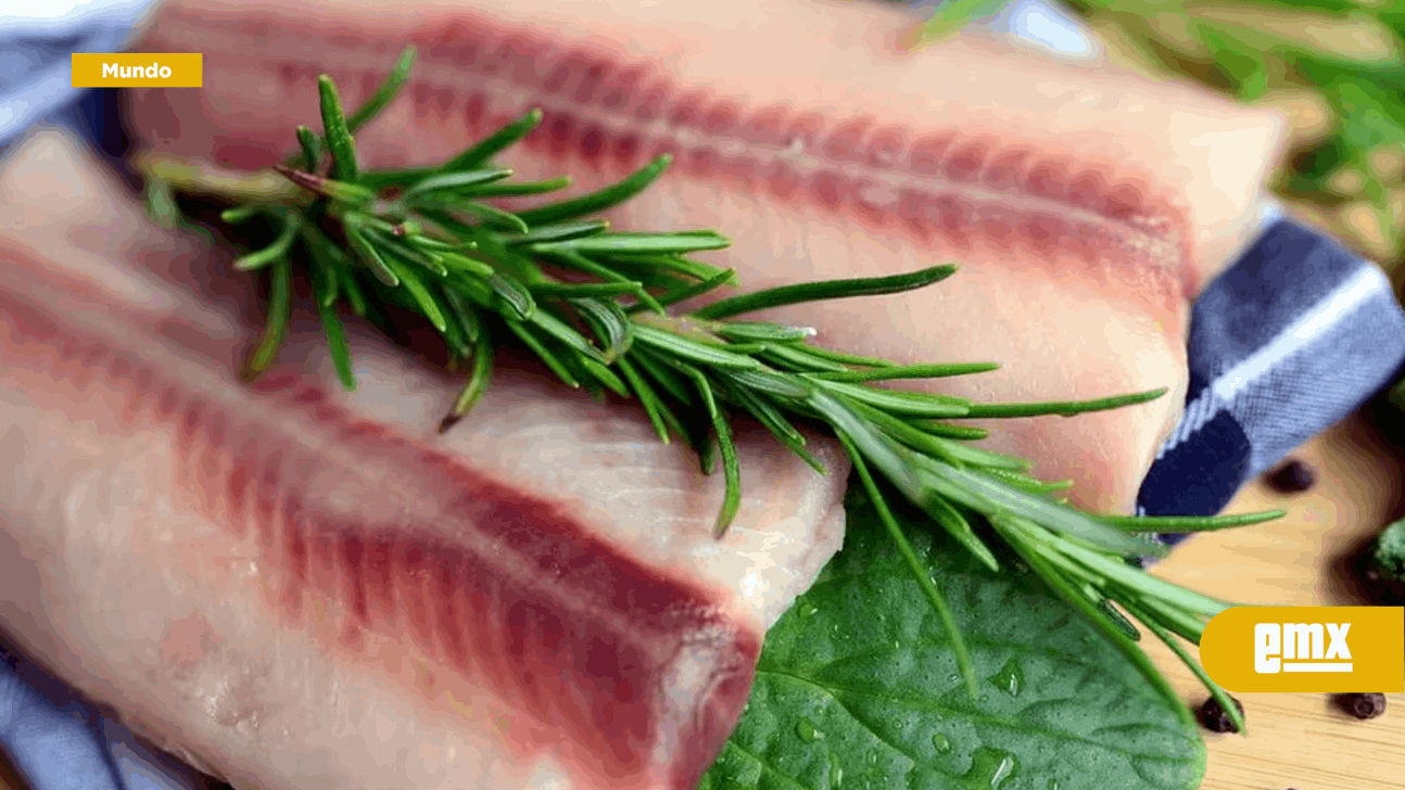 EMX-A partir de células animales crearon los primeros filetes de pescado con impresora 3D