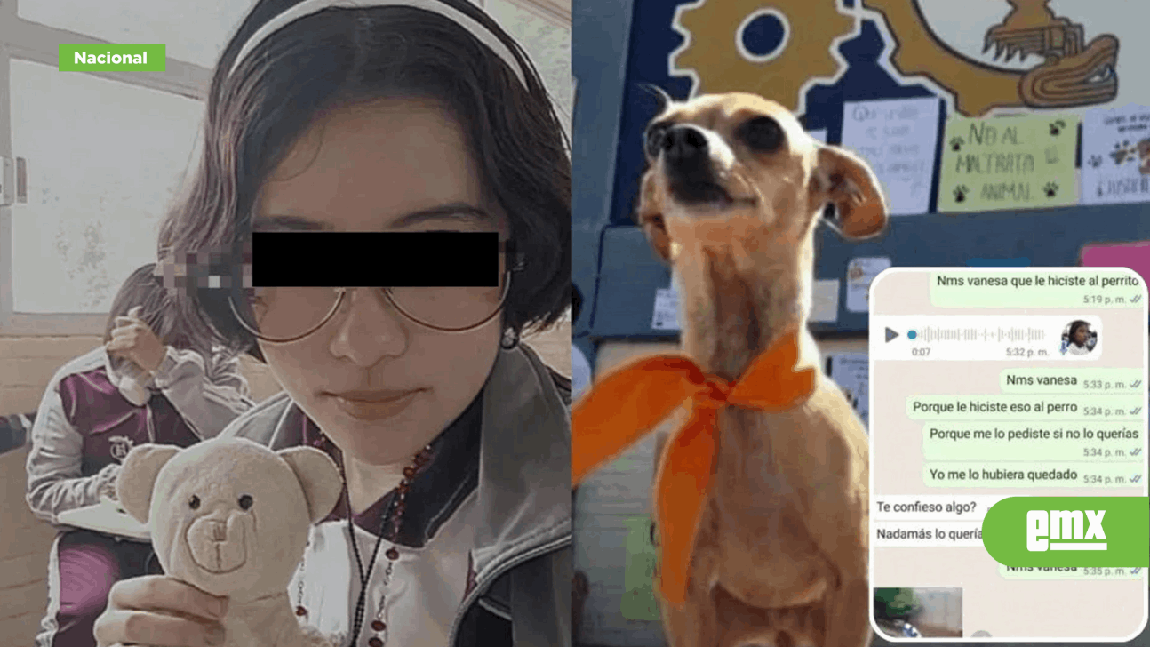 Denuncian a joven que asesinó a perrito recién adoptado... - El Mexicano