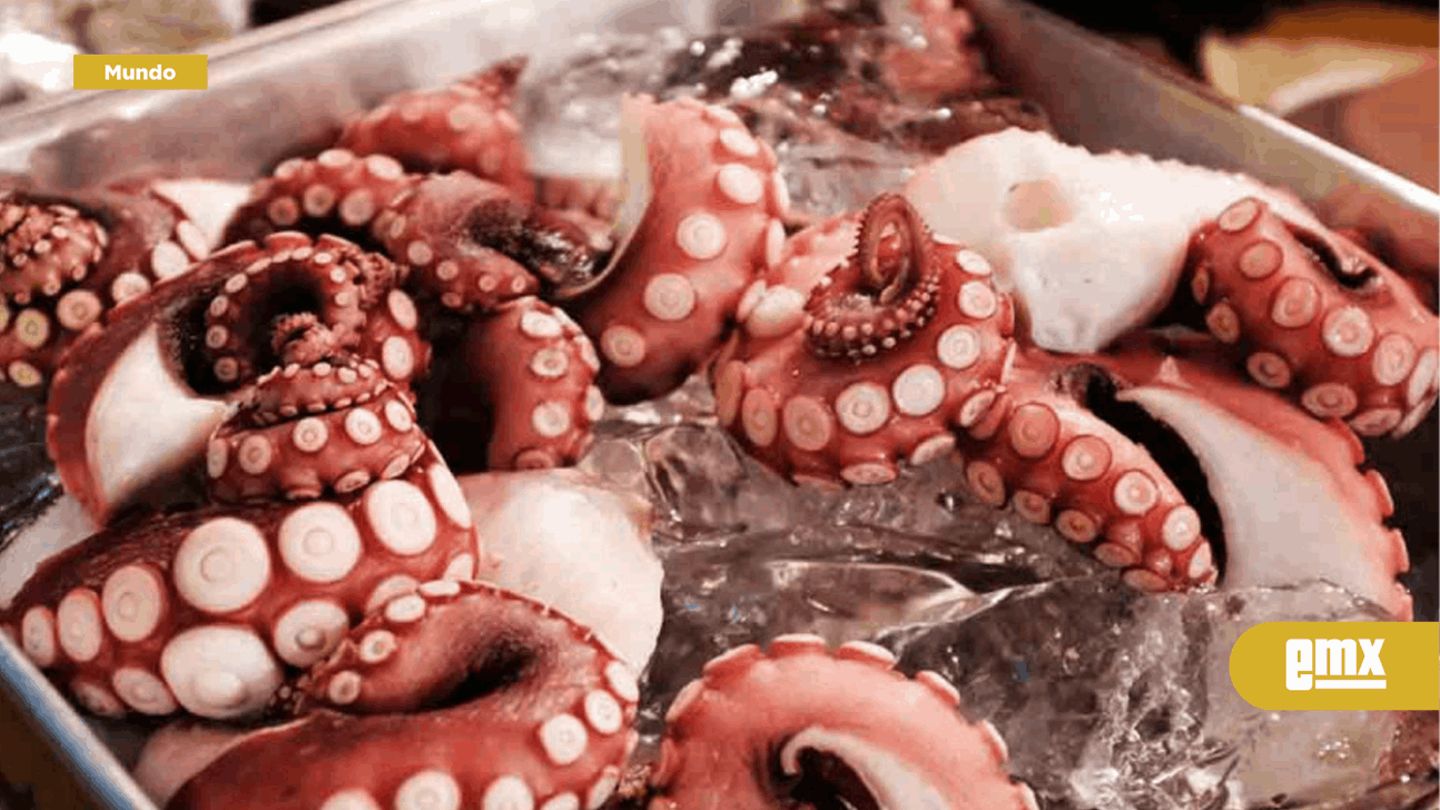 EMX-Médicos descubren un pulpo atascado en la garganta de un hombre