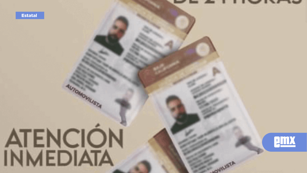 EMX-Proliferan falsas licencia de conducir