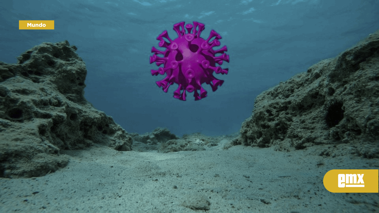 EMX-¿Nueva amenaza? Hallan misterioso virus en la Fosa de las Marianas